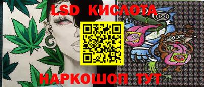 сатива Кингисепп
