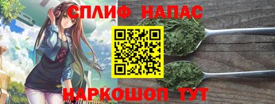 сатива Кингисепп