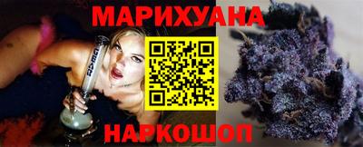 сатива Кингисепп