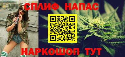 сатива Кингисепп