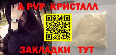 сатива Кингисепп