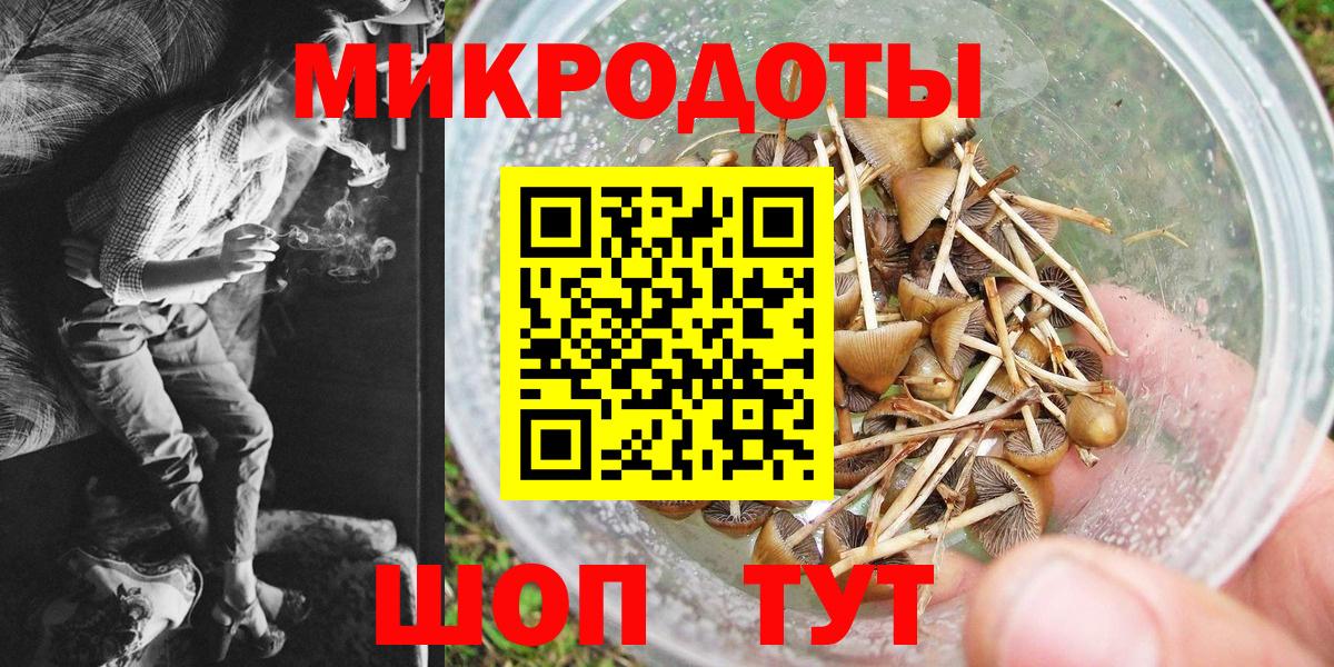 Галлюциногенные грибы Psilocybe  Вход с VPN  где купить наркоту  Галлюциногенные грибы Psilocybe  Костомукша 